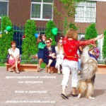 дрессированные собачки на праздник, цирковые собачки, собачки на праздник Киев