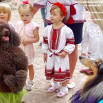 дрессированные собачки, цирковые собачки, собачки на детский праздник, собачки праздник киев