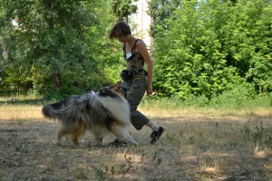 dog dance ukraine