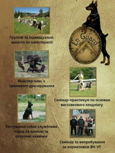 семинар по трюковой дрессировке, семинар по танцам с собаками, Мельничук Елена, Гончар Елена