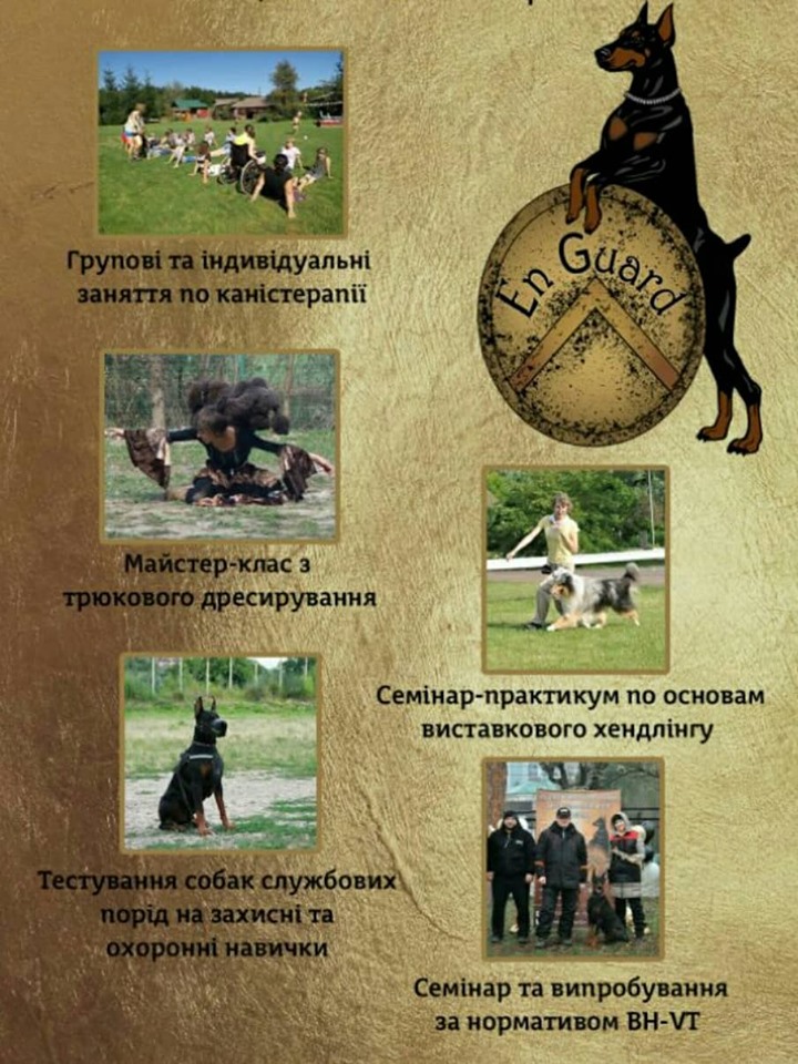 Семинар по трюковой дрессировке и танцам с собакой 2019, г. Черновцы