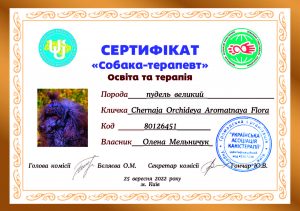 canistherapy sertificate Dara