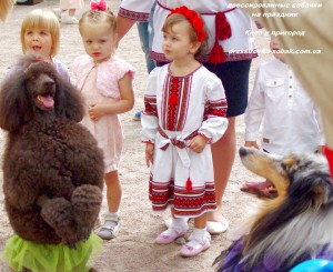 дрессированные собачки, цирковые собачки, собачки на детский праздник, собачки праздник киев